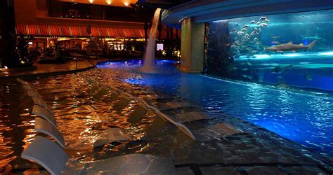 golden nugget shark tank